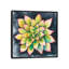 « succulent rosette iv », impression sur toile-32566961-72224660-72224665