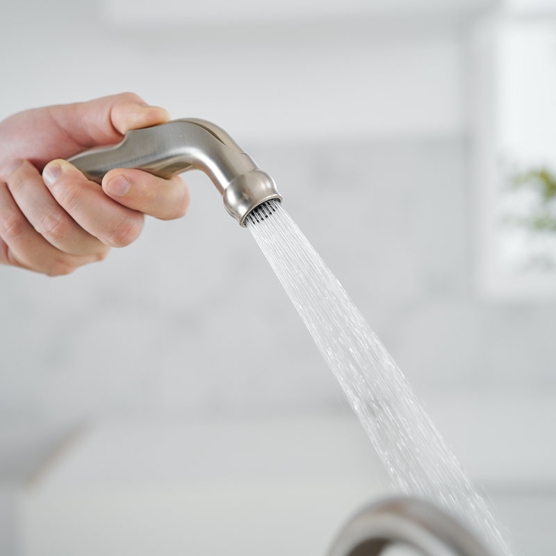 VIBRANTBATH Kitchen Faucet with Side Spray, Brushed Nickel