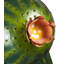 Cactus en métal refroidisseur