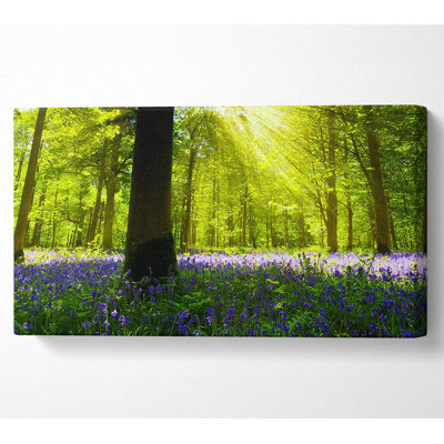 Wrapped Canvas Print