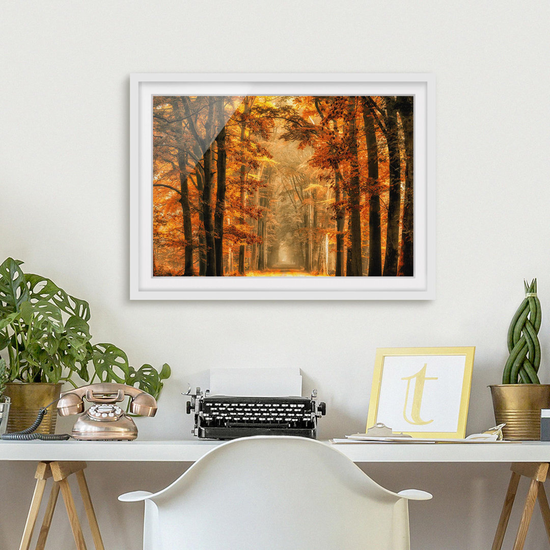 Gerahmtes Poster Fairy Tale Forest in Autumn