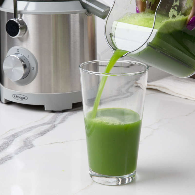Omega High Speed Juicer with Extra Large Chute, in Silver
