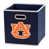 Tigers de l'Université Auburn