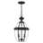 Alexavier 2 - Light Outdoor Hanging Lantern-1141437572