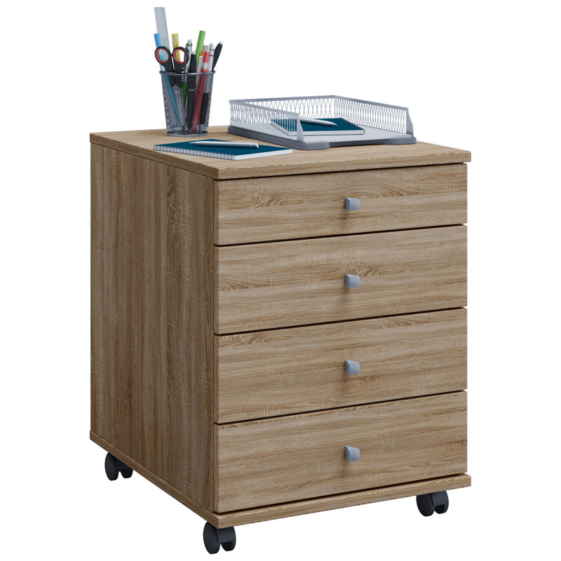 Rayiona 42cm Wide File Cabinet, 50cm H x 42cm W x 57cm D, Brown