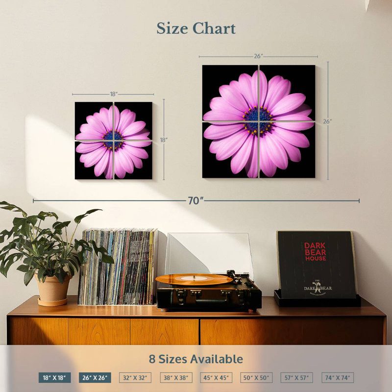 Marguerite rose, H 26 po x l 26 po