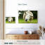 Brampt Nosy Sheep-108869379