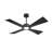 4 -ABS Blades Wet Rated Outdoor Ceiling Fan with Light Kit and Remote Reversible DC Motor Waterproof -1037670882-1037672445-1037672447