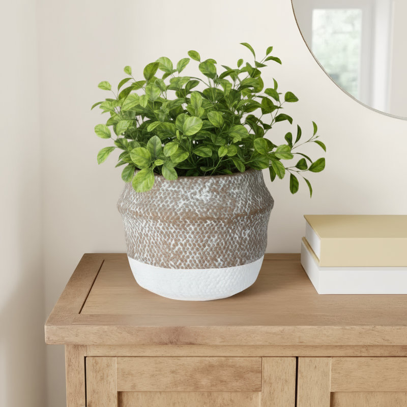 Delancy Pot Planter, 6.75" H x 8.50" W x 8.5" D
