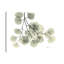 Eucalyptus - L257 - Wrapped Canvas Print-1768979809