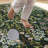 Farmhouse Floral  Area Rug Washable with Non-Slip for Playroom Living Room Bedroom -Green-1416501164-1414935490