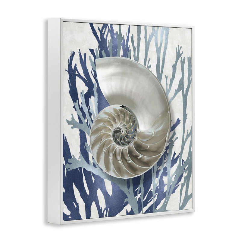 «Shell Coral Beach Blue» par Caroline Kelly - reproduction d'art, Giclée encadrée blanc bord de mer, H 14 po x l 11 po