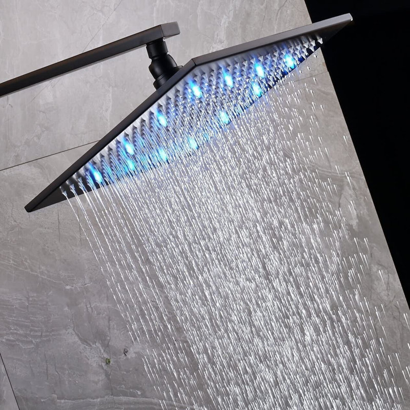 Rain Fixed Shower Head 2.5 GPM GPM