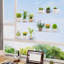Tablettes flottantes pour plante de fenêtre 15 pouces, paquet de 2 tablettes à ventouses en acrylique, rallonge de rebord de fenêtre pour plantes grasses d'intérieur, micro-verts, pots à graines, pots à plantes
