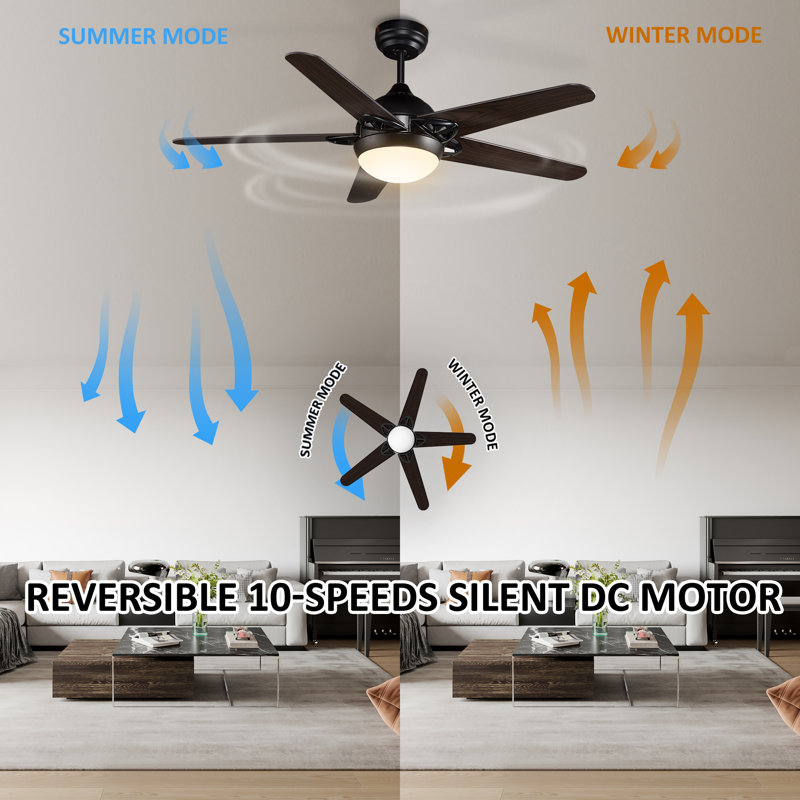 52'' Ceiling Fan with LED Lights
