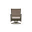 Wexler Outdoor Swivel Lounge Chair-1102391097-1099678821