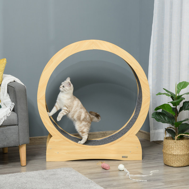 Shauna 37.4'' H Cat Tree