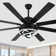 Terriek 72" DIY Shade Reversible Caged Ceiling Fan with Dimmable LED Light and Remote