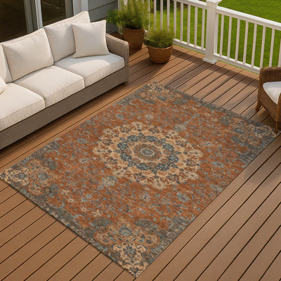 Machine Washable Indoor/Outdoor Chantille ACN2489 Global Rug