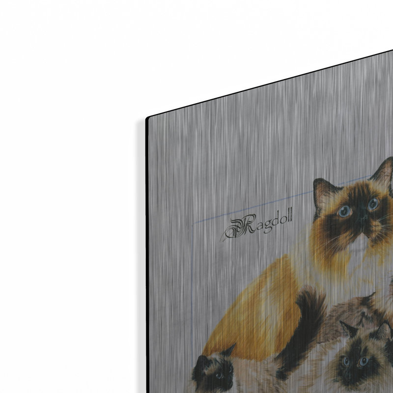 "Ragdoll" par Barbara Keith, H 24 po x l 16 po