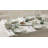 Oneida Botanica 12-Piece Dinnerware Set