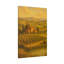 Apel Single Picture Frame Print on Canvas-1818719117