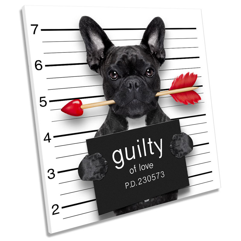 Z2487 French Bulldog Funny Guilty - Wrapped Canvas Print, 40.6cm H x 40.6cm W x 2cm D