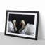 A Pair of White Swans in Abstract - Picture Frame Painting Print-55629653-55629651