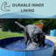 Piscine pour chien pliable en plastique dur Summerpawz, très grand