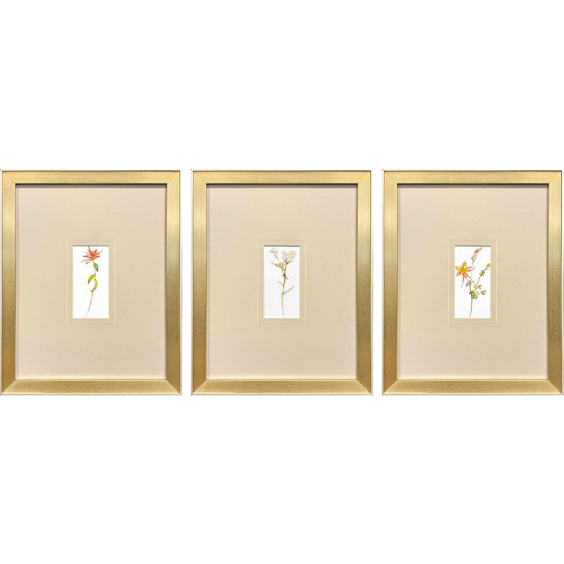 Pretty Florals II S/3 Print by Keeling Propac Images