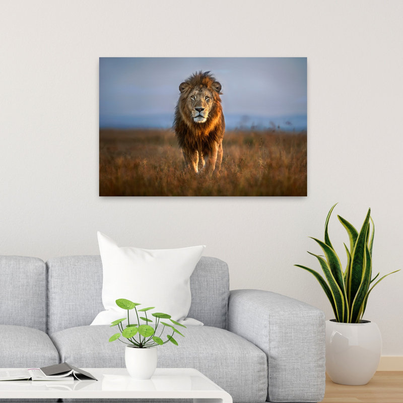 Art contemporain Lion contemporain, H 24 po x l 36 po