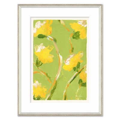 Tulip peuplier vert