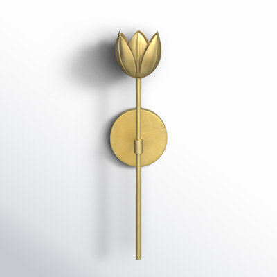 Dario 1-Light Dimmable LED Armed Sconce