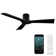 54" Aviator 3 - Blade Outdoor/Indoor Smart Flush Mount Ceiling Fan with Remote Control Included
