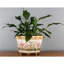 Wild Breeze Handmade Planter