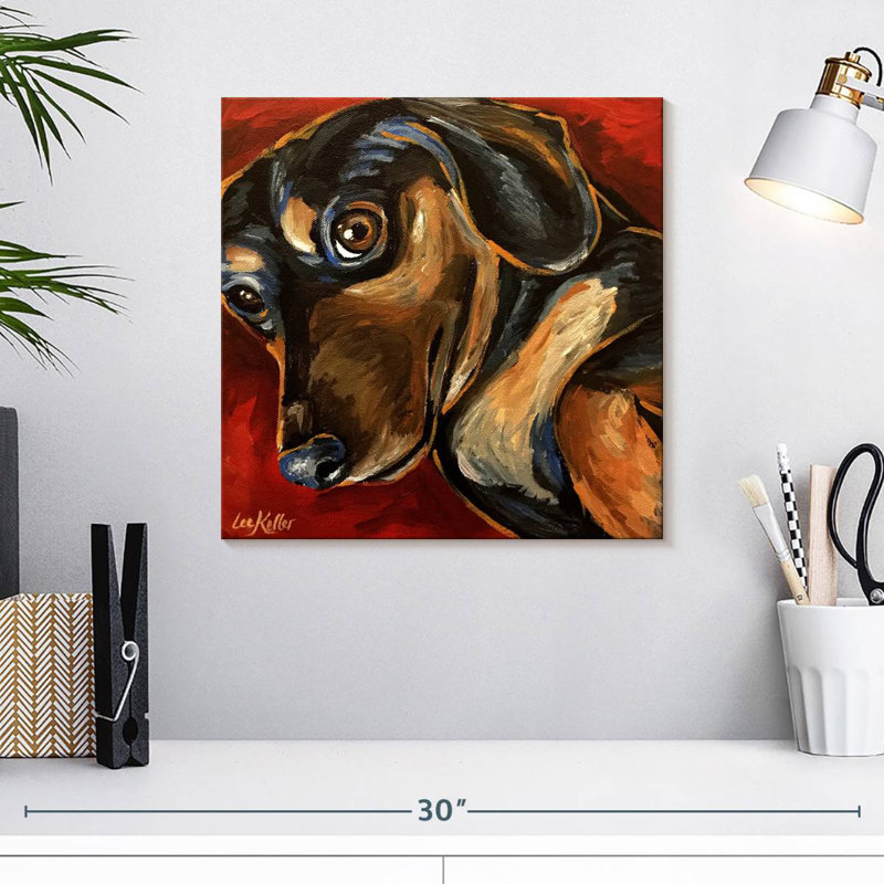 Brampt Dachshund Expressive