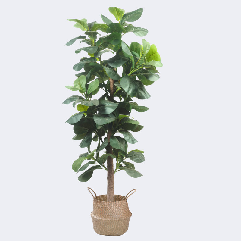 Pot de figuier artificiel à feuilles de figuier et panier d'herbes marines avec poignées