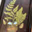 Customer photo 3 of 3