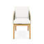 Amadora Dining Arm Chair- Natural-1911621272