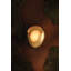Hina Wall Sconce