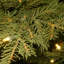 The Holiday Aisle® Nordic Spruce Tree with Clear Lights-1808368499