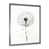 Silver Single Picture Framed