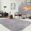 Closter Synthetic 80cm X 150cm Area Rug