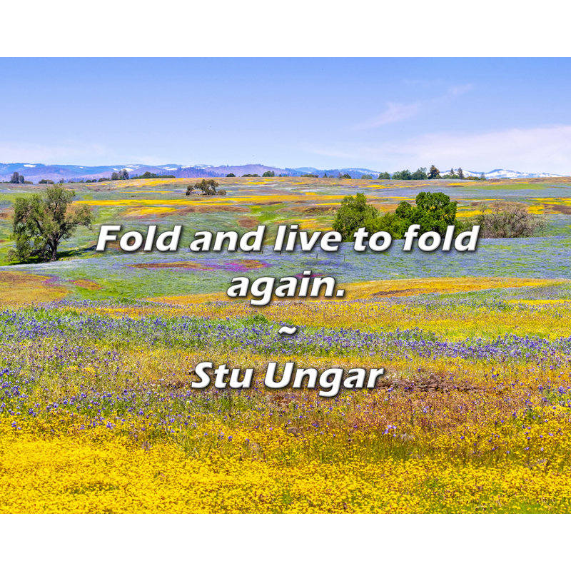 Citation de Stu Ungar: Pliez et vivez à nouveau.