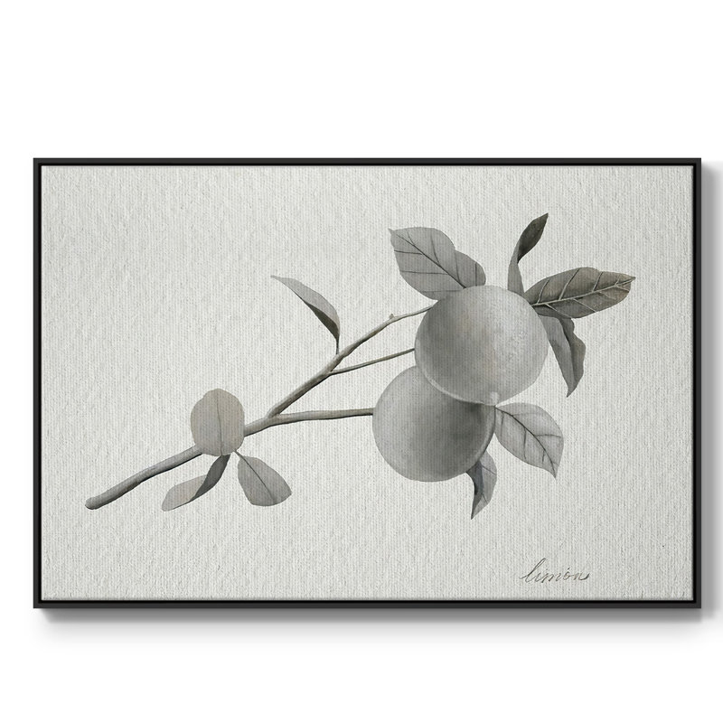 Limonero II, reproduction d'art sur toile, H 27 po x l 41 po x P 2 po, Cadre noir
