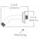 Rainier Shower Arm and Flange