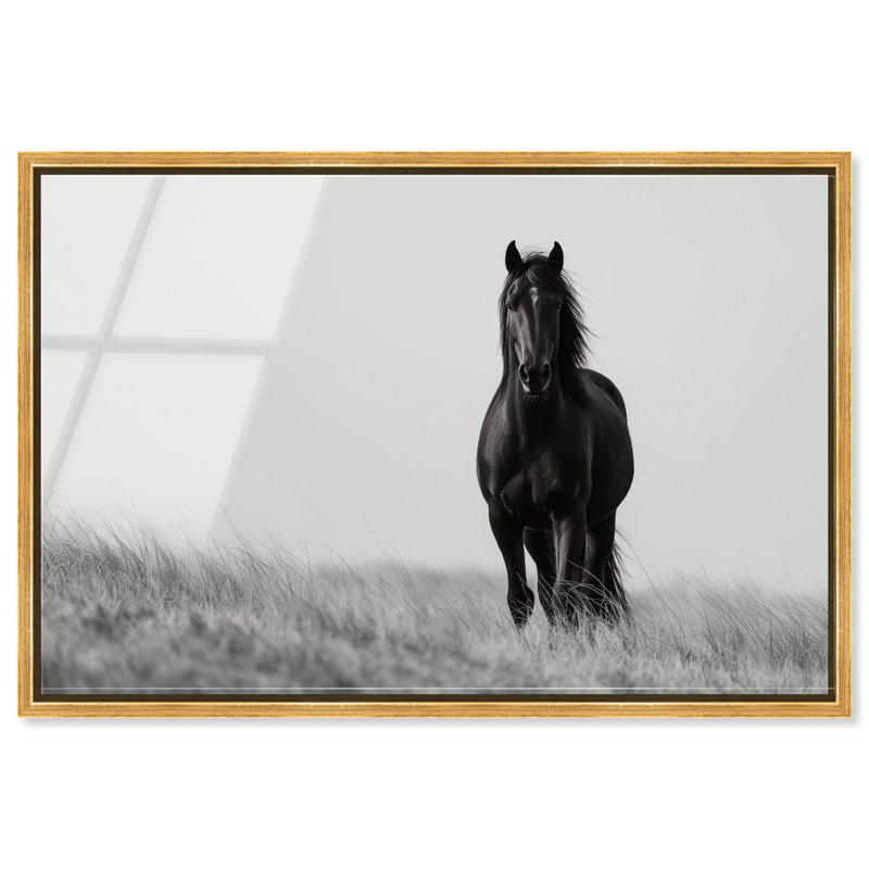 Lone Stallion I Print, 37" H x 55" W, Gold Floater Frame