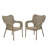 Puello Outdoor Stacking Dining Armchair