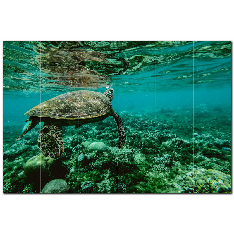 Murale en céramique satinée 8 po x 8 po Turtle Photo