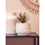 Beverley Pot Planter